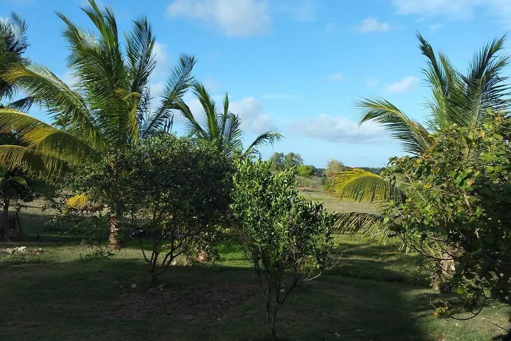Appartement Sainte-Anne, Location T2 Sun Hollidays Sainte-Anne (Grande-Terre)